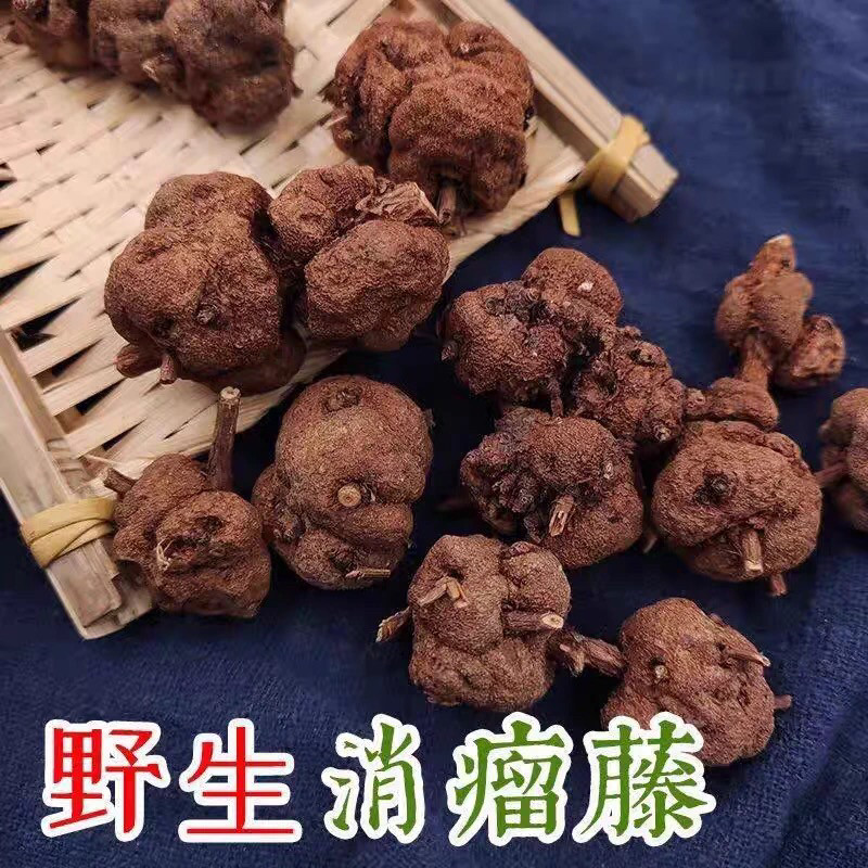 正宗云南深山中药材消瘤果消瘤子消瘤藤精选优质无提取正品,淘宝优惠券,粉丝福利购,淘宝优惠卷