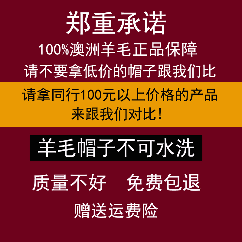 帽子女秋冬新款韩版纯羊毛毡帽优雅时尚贝雷帽英伦定型帽百搭礼帽