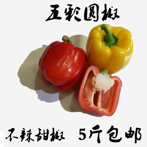 新鲜圆椒五彩椒柿子椒灯笼椒太空椒红椒黄绿椒甜不辣水果椒包邮。,淘宝优惠券,粉丝福利购,淘宝优惠卷
