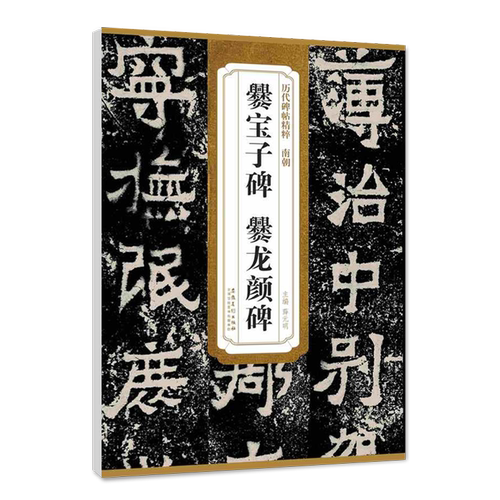 正版历代碑帖精粹南朝爨宝子碑爨龙颜碑简体旁注附技法解析第三辑碑帖毛笔隶书书法练字帖安徽美术出版社 - 图3
