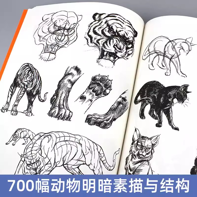 正版 动物画技法 [美] 庚·赫尔脱格伦 豆瓣9.4分世界热卖60年 迪士尼前动画大师画动物的精髓皆在本书中图例临摹范本教程书 - 图0
