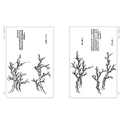 芥子园画传 正版全集4册 山水梅兰竹菊翎毛花卉人物巢勋临本介子 原版古代名家传世国画临摹技法图释人民美术出版社 芥子园画谱 - 图3