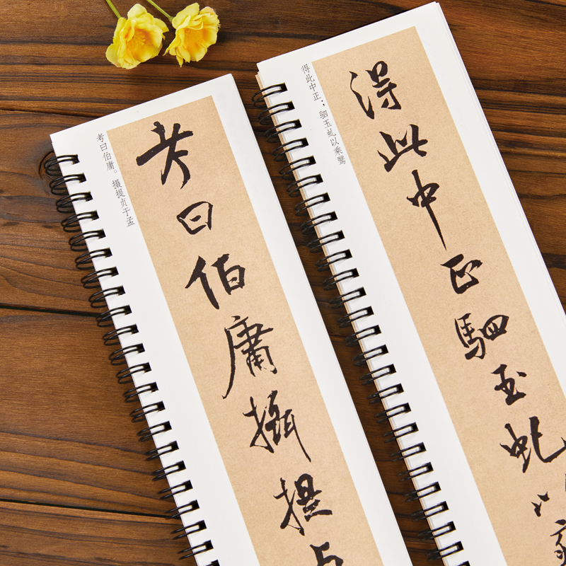 米芾离骚经行楷字帖行书书法毛笔字帖北宋经典碑帖书法临摹字卡原大版墨迹本近距离书法字帖卡 近距离临摹字卡黑龙江美术 - 图3