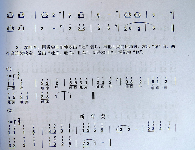 埙基础大教本王铁锤从零开始轻松入门科学教学循序渐进陶埙演奏法初学入门基础教材曲谱书籍新手技巧初级步自学者简单易懂指导教程 - 图2