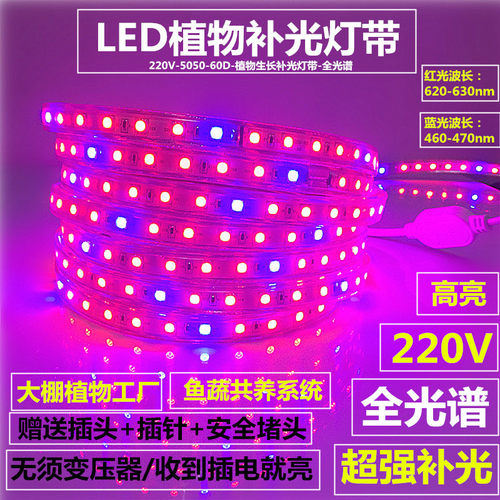 220V植物生长补光LED灯带条5红1蓝全光谱强补光大棚植物果蔬工厂 - 图1