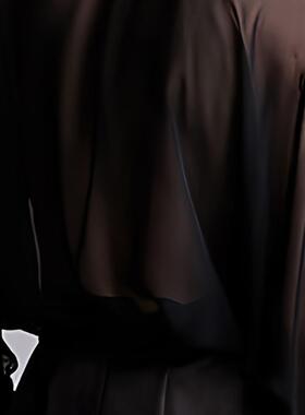 男士薄款透视长袖衬衫