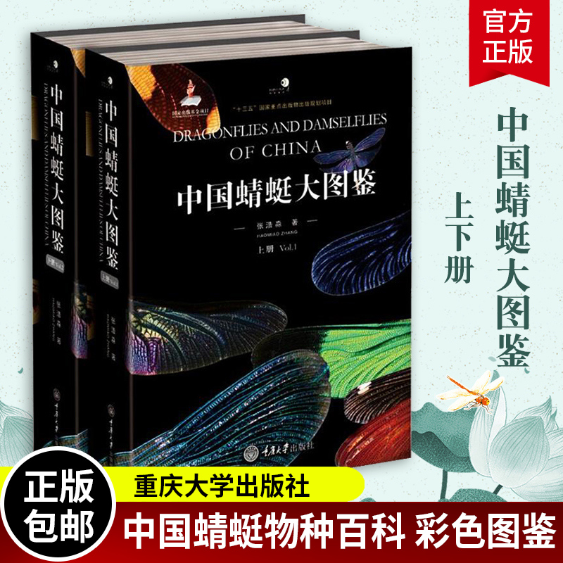 中国蜻蜓大图鉴上下册中国蜻蜓物种种类的彩色图鉴 蜻蜓知识档案书 介绍蜻蜓知识的大型图书科学探索蜻蜓鉴定识别图鉴 - 图0