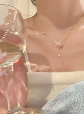 s925银轻奢项链百搭潮锁骨链女蝴蝶简约小众高级感气质毛衣链饰品