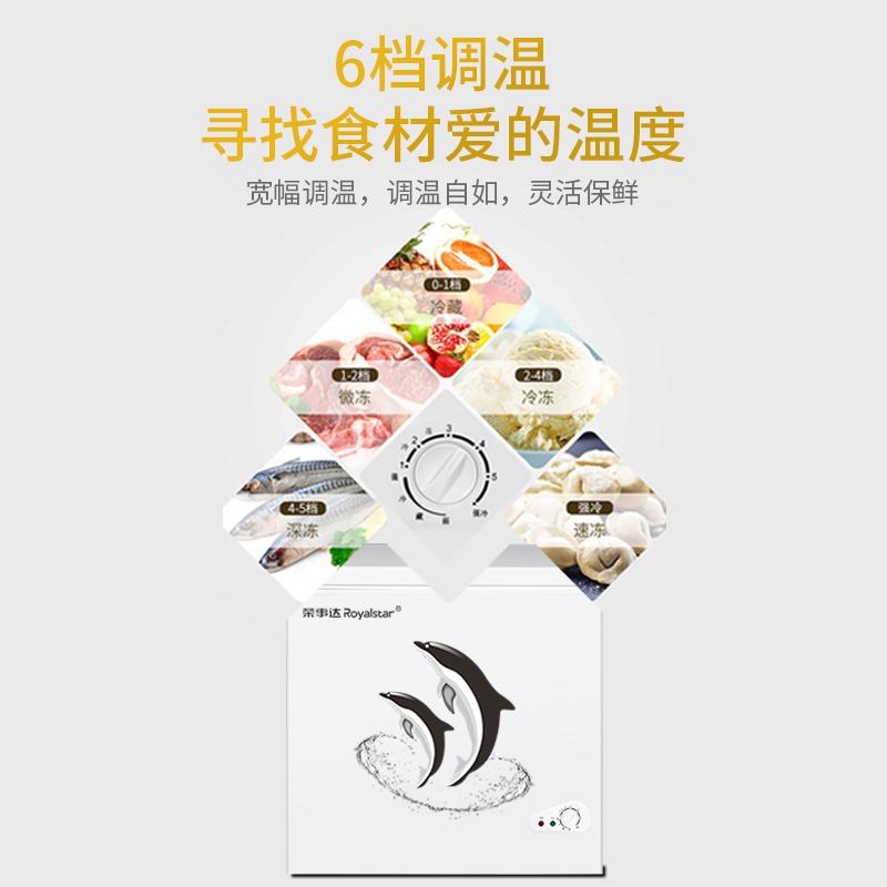荣事达冰柜商用家用小型保鲜冷藏冷冻两用大容量迷你节能双温冷柜 荣事达冰柜商用家用小型保鲜冷藏冷冻两用大容量迷你节能双温冷柜