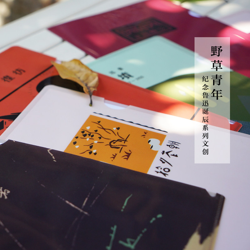 Lu Xun's works book cover folder, Lu Xun's wild grass youth, shouting for wandering wild grass, picking up graves in the morning and evening, a set of 6 covers, A4 size, new youth creative gift stationery, Houlang brand cultural creation