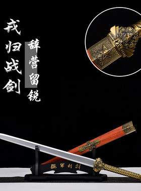 戎归之剑退伍纪念龙泉汉剑宝剑锰钢剑送礼礼物从戎之剑摆件未开刃