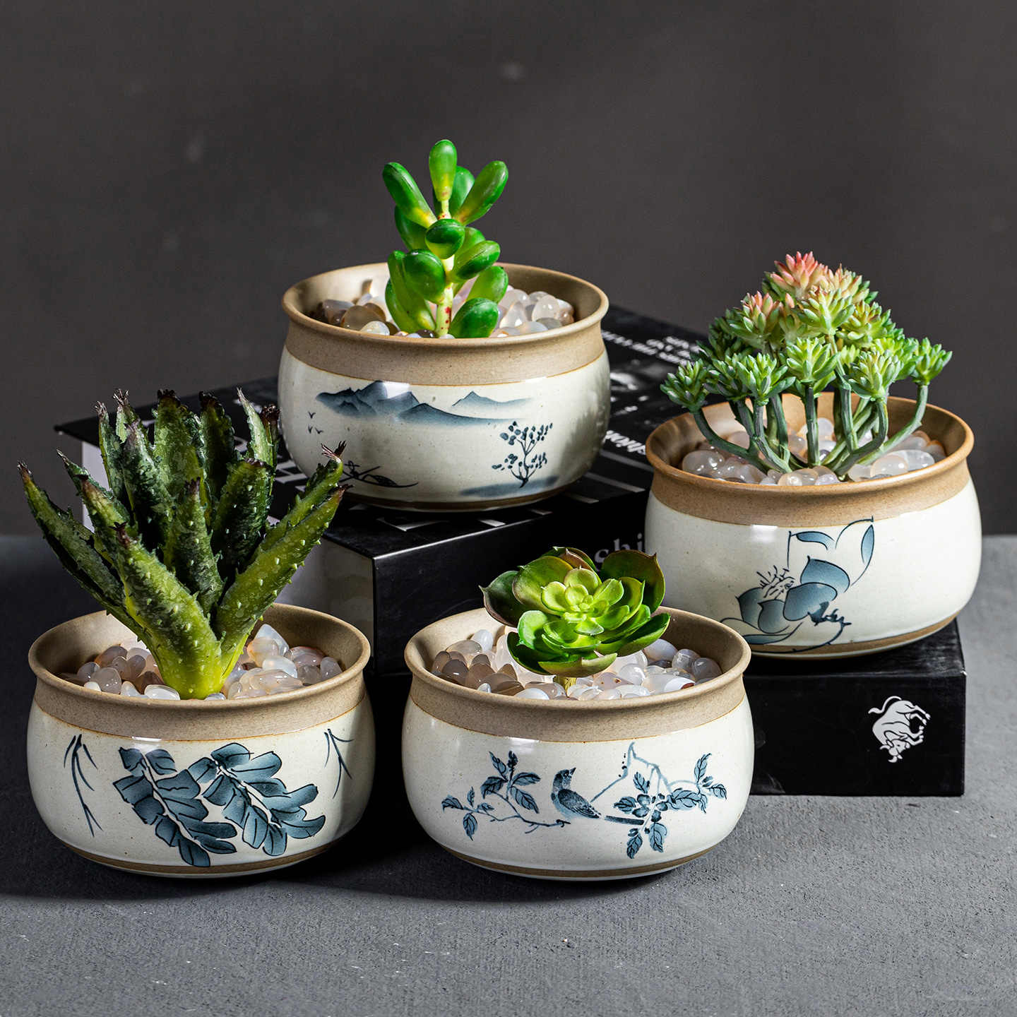 多肉组合盆栽套餐 新人首单立减十元 21年9月 淘宝海外