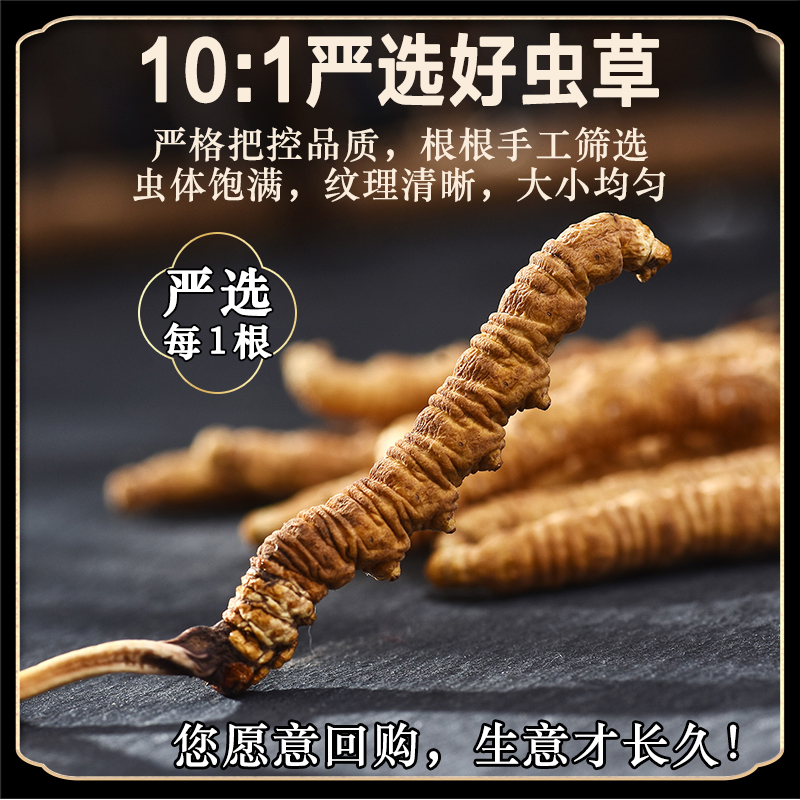 【良心品质】冬虫夏草虫草正品虫草官方旗舰店50克虫草干货礼盒装 - 图1