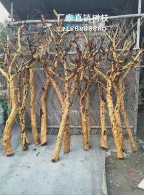 造型石榴树漂白石榴树服装装饰树枯树干树枝白树枝树干树造型剥皮