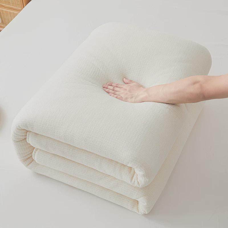 花被棉被芯棉絮床垫全棉被子加厚被褥冬被保暖单人纯洁10斤,淘宝优惠券,粉丝福利购,淘宝优惠卷