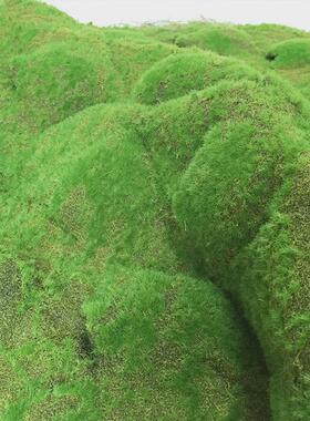 仿真苔藓草皮绿色青苔草皮景观造景假草坪草地背景植物墙装饰绿植