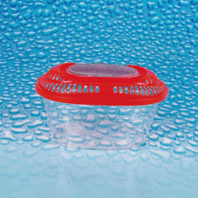 透明塑料大中小号乌龟金鱼缸乌龟缸宠物盒塑料鱼缸盒运输盒,淘宝优惠券,粉丝福利购,淘宝优惠卷