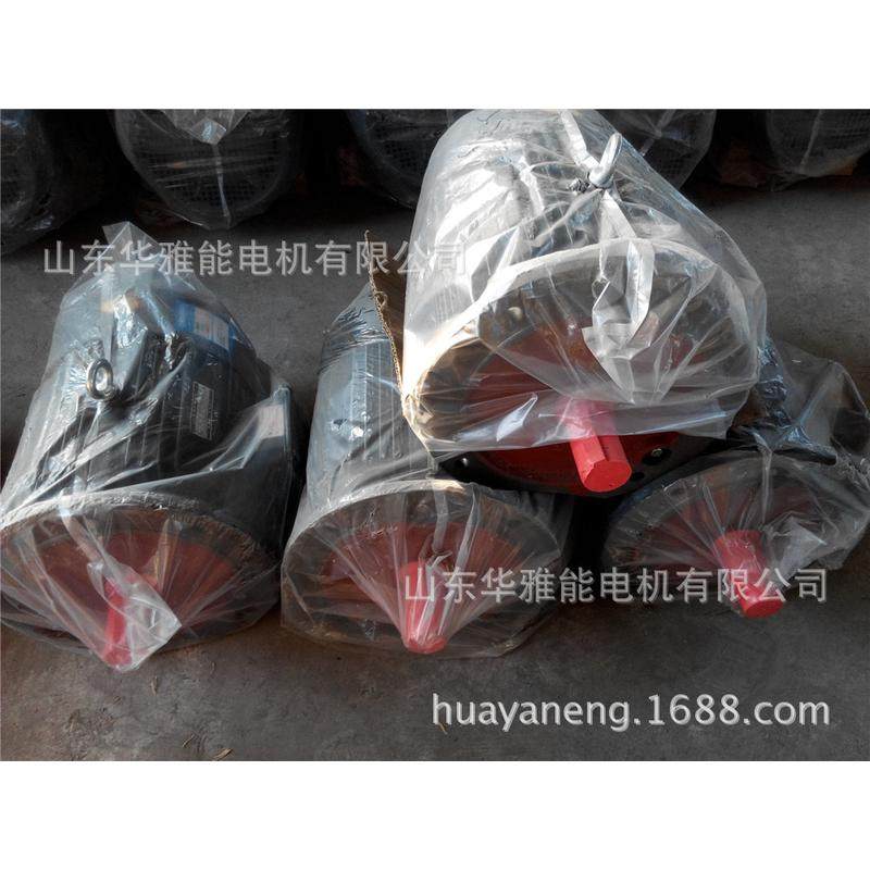 ye4-180l-4-22电机60hz轴ye4电机卧式顺时出线口m24朝非频率伸端,淘宝优惠券,粉丝福利购,淘宝优惠卷