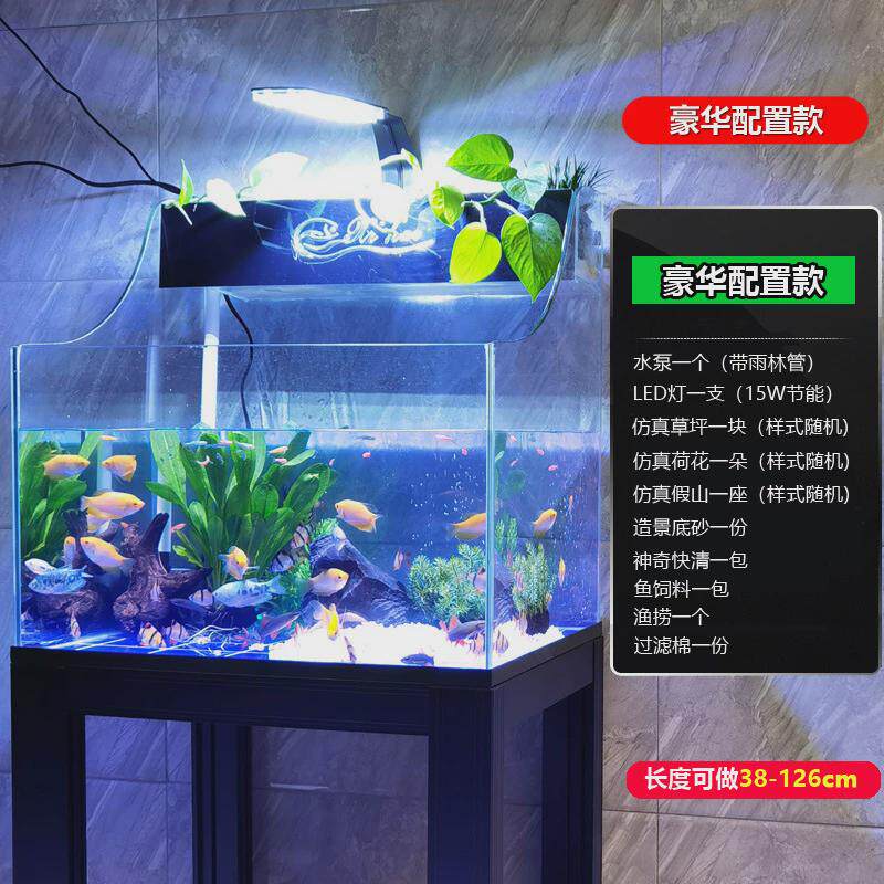 鱼缸水族箱客厅小型迷你桌面免换水懒人生态造景家用小金鱼乌龟缸,淘宝优惠券,粉丝福利购,淘宝优惠卷