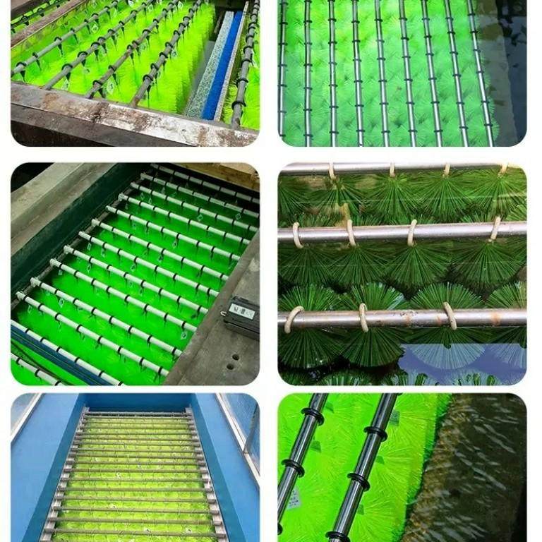 过滤毛刷锦鲤鱼池毛刷滤材304不锈钢挂环十字过滤毛刷锦鲤池滤材,淘宝优惠券,粉丝福利购,淘宝优惠卷