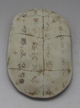 .硬树脂甲骨文仿真小摆件龟甲兽骨古文字化石儿童认知早教玩具模.