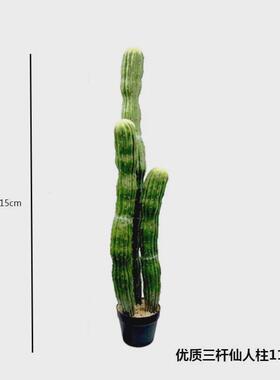 仿真仙人掌盆栽大型植物厂家直销造景仿真绿植小摆件组合仿真植物