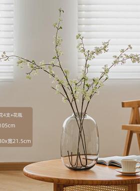 雪柳花瓶摆件客厅插花玻璃透明水养水培轻奢高马醉木感大