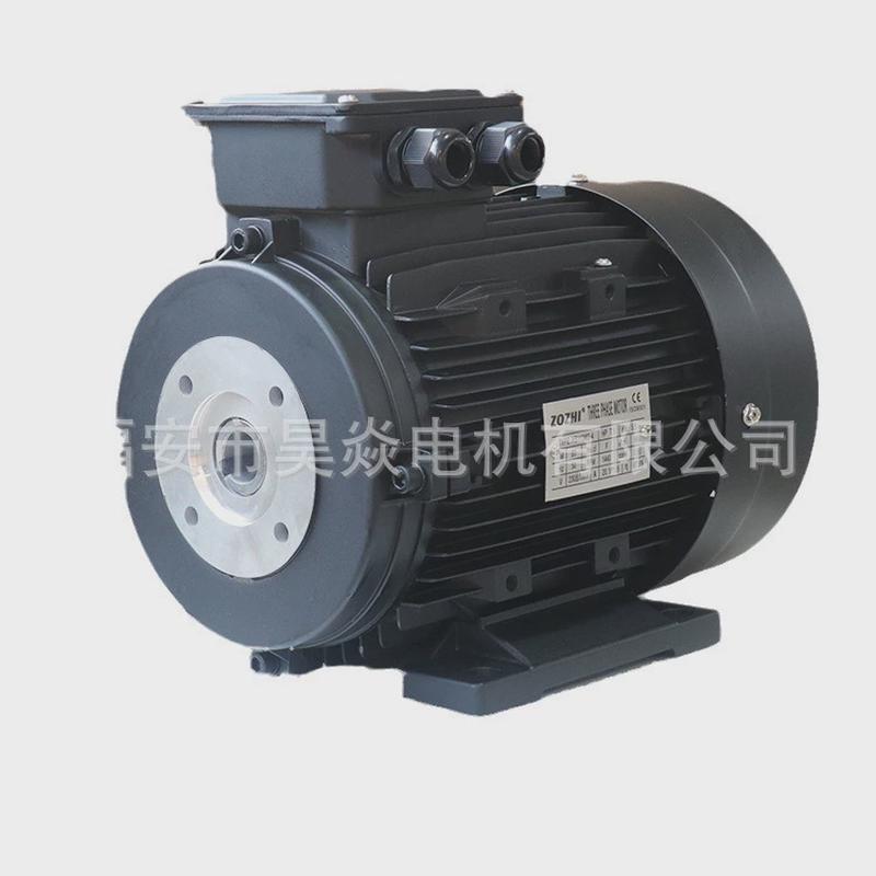 zozhi三相2.2kw内出口空心轴异步电机直联式轴法兰用于清洗机电机 - 图2