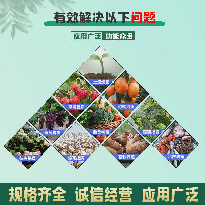 生物肥农业级鱼蛋白酶解液体鱼蛋白水溶肥瓜果生根叶面肥鱼蛋白,淘宝优惠券,粉丝福利购,淘宝优惠卷