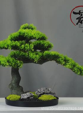仿真迎客松盆景办公室摆件开业礼品美人松玄关酒店崖柏枫树装饰品