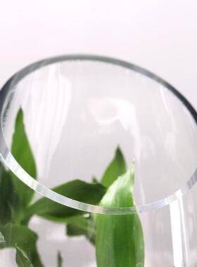 热销玻璃花瓶透明平口斜口椭圆干花插花花器客厅富贵竹摆件装饰批