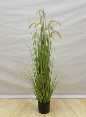 网红大芦苇草仿真花家居落地客厅装饰假花电视柜绿植摆件假花盆栽