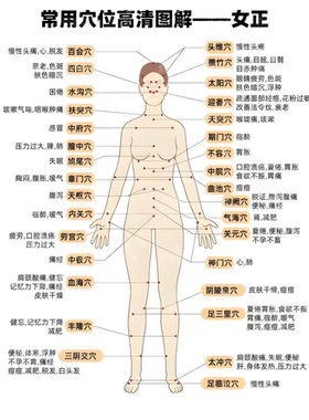 新款人体学位图卧室玄关