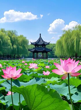 家庭装饰风景自粘墙贴贴