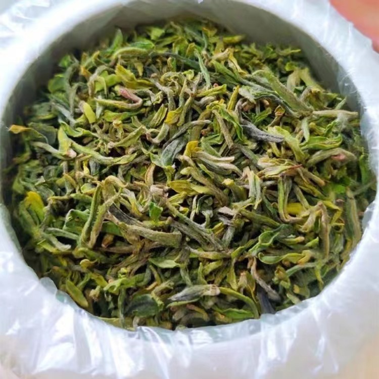 日照绿茶特级头采高山云雾豆香明前早春嫩芽250g2023年谷雨新茶叶