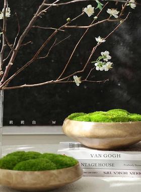 侘寂风原木日式新中式绿植花器软摆件样板房民宿永生苔藓中古创意