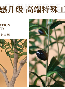北欧高端仿真橄榄树落地盆栽