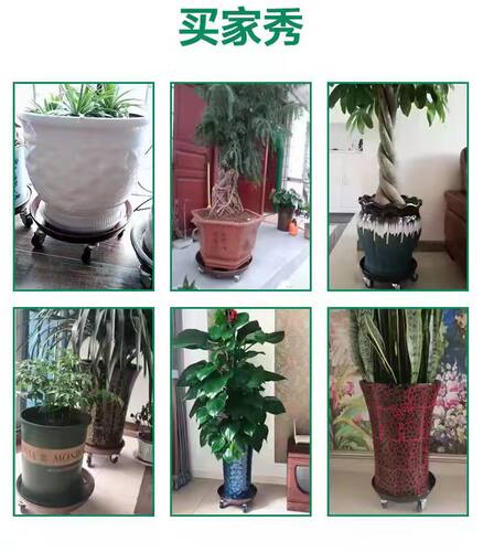 移动花盆托盘万向轮加厚金属圆形带铁轮花架垫底花盆底座滚轮托盘 - 图3