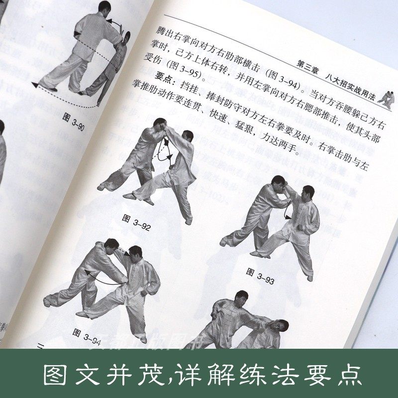 八极拳散手用法安在峰武术书籍极拳书籍形意八卦拳意武术健身养生气功保健健身书籍武功秘籍形意拳太ji咏春拳吴氏太ji拳书籍_虎窝淘