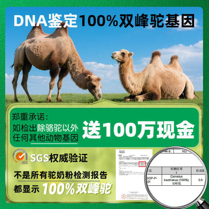 风车牧场双重有机纯骆驼奶粉官方旗舰店正宗全脂驼乳粉新疆无蔗糖