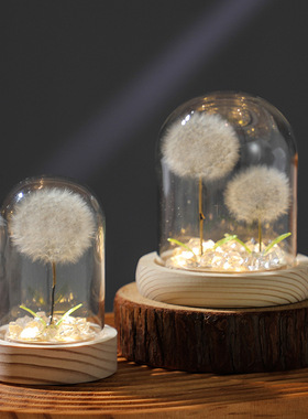 发光蒲公英永生干花束小夜灯玻璃罩生日礼物女生送女孩女朋友七夕