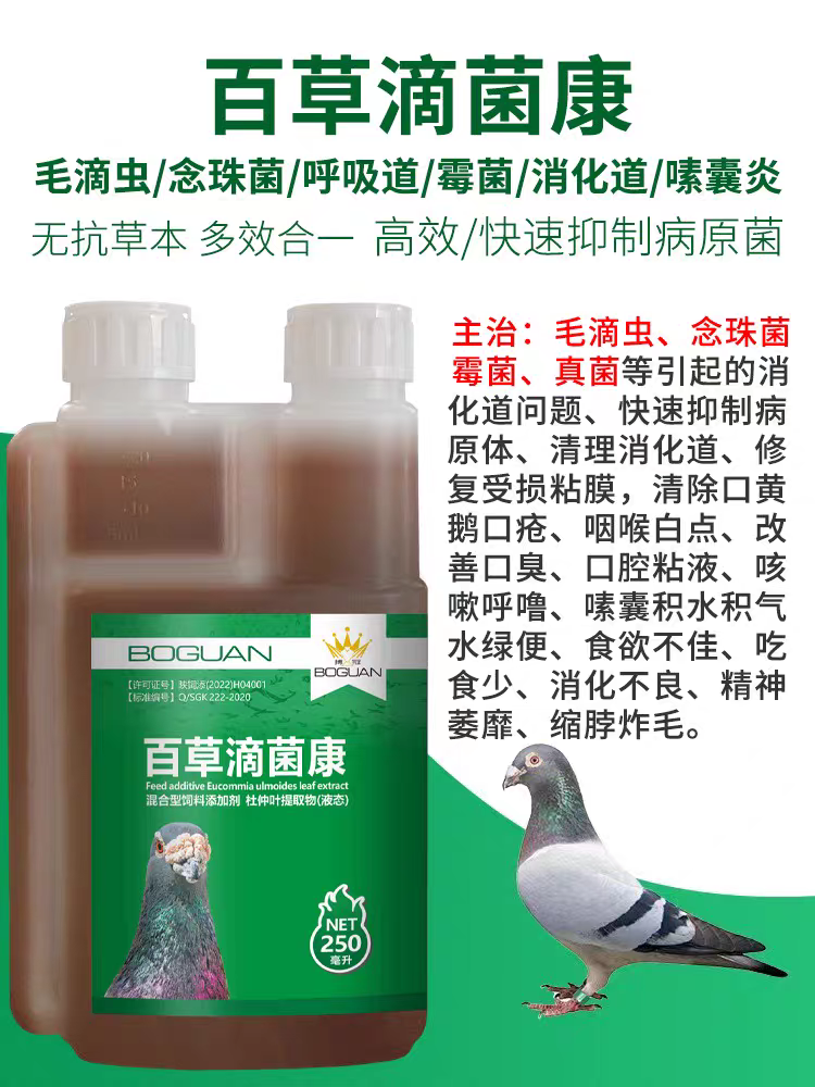 搏冠百草滴菌康清理鸽子鹦鹉毛滴虫念珠菌霉菌呼吸道专用保健品 - 图0