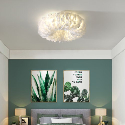 奶油风现代简约羽毛吸顶灯北欧网红爆款房间书房儿童房卧室吸顶灯 - 图1
