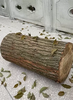 森系天然树桩实木茶几凳庭院摆件