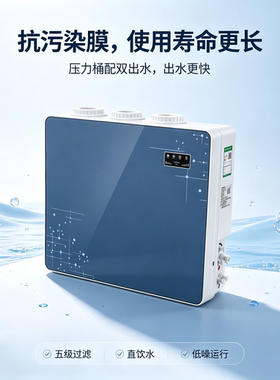 经济实用型反渗透RO双水直饮机