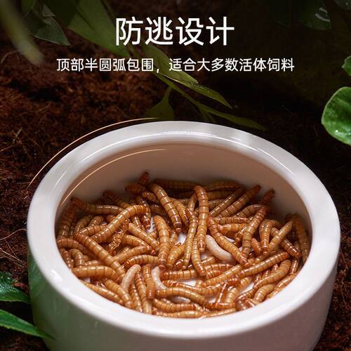 爬宠饲养箱造景套装水盆食盆 宠物蛇陶瓷泡澡碗 蛇缸专用造景用品 - 图1