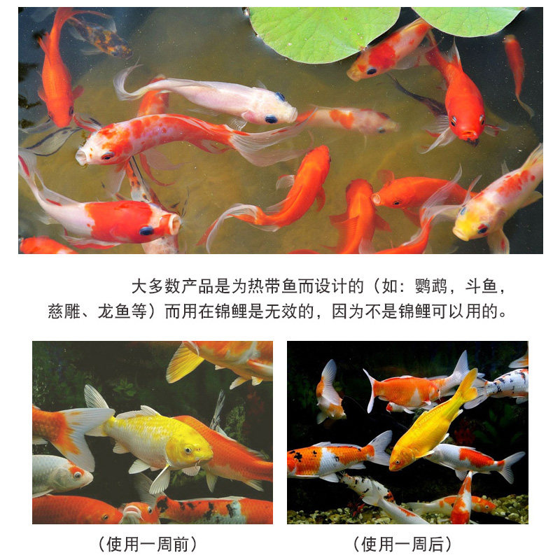 鱼池除藻剂鱼缸净化剂硝化细菌不伤鱼除绿藻除青苔除绿水褐藻,淘宝优惠券,粉丝福利购,淘宝优惠卷