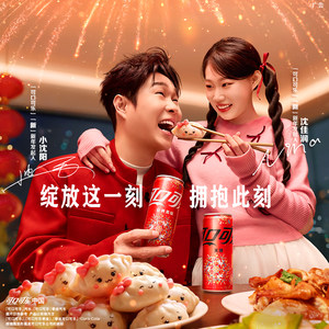 新春烟花装可口可乐有糖汽水雪碧芬达碳酸饮料330ml*20罐美汁源