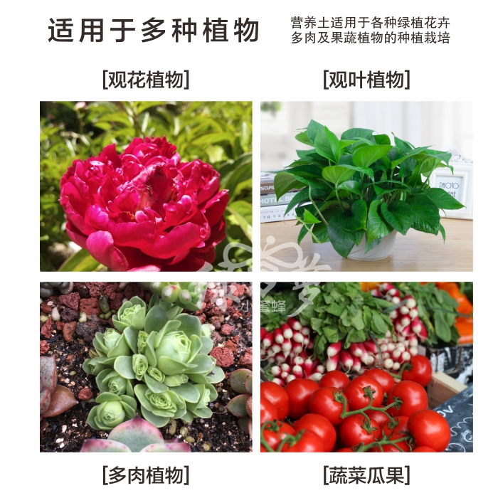 肥料绿植盆栽花卉园艺家用养花通用型复合肥发财树颗粒营养花肥-图3