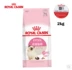 RoyalCanin Royal 4-12 tháng mèo con và thức ăn cho mèo cái mang thai K36 mèo con 2kg thức ăn - Cat Staples Review các loại hạt cho mèo Cat Staples